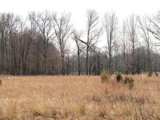 6471 Long Spurling Rd, Pleasant Plain, OH 45162