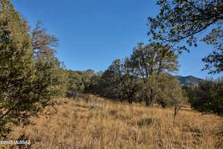 TBD Paradise Rd Unit 10, Portal, AZ 85632