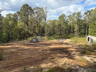 26929 Loango Rd, Red Level, AL 36474