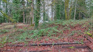 229 XX SE 312th St, Black Diamond, WA 98010