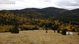 0 Highway 67 Unit 7784332, Cripple Creek, CO 80813