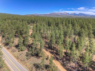 1100 Cr125, Durango, CO 81303