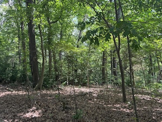 000 Twin Springs Dr, Flat Creek Township, MO 65625