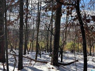 10 Bounds Landing Rd Unit 10, Columbiana, AL 35051