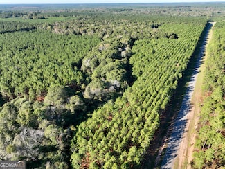 0 Barentine Rd, Rochelle, GA 31079