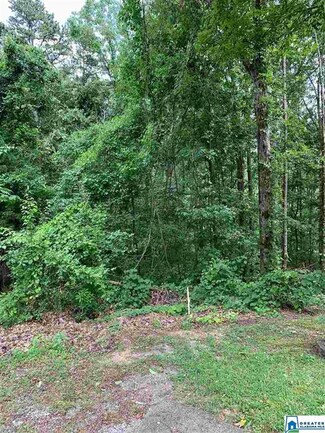 0 Peak Dr Unit 2 887031, Weaver, AL 36277