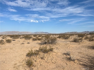 0 N Side Rd Unit OC25189112, Lucerne Valley, CA