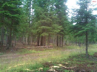 NNA Bourbon Ln Unit Lot 4, Nordman, ID 83848