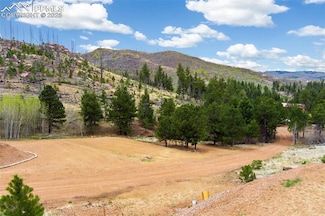 13990 N Highway 67, Woodland Park, CO 80863