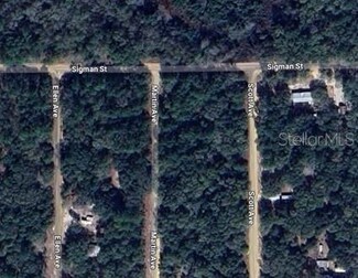 0 Martin Ave, Interlachen, FL 32148