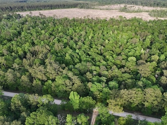 000 Outlaw Bend Rd, Rye, TX 77369