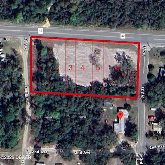 0 County Road County Rd Unit 1217482, Deland, FL 32720
