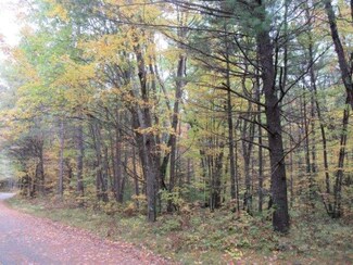 ON Haskell Lake Ln Unit Lot 26, Lac Du Flambeau, WI 54538