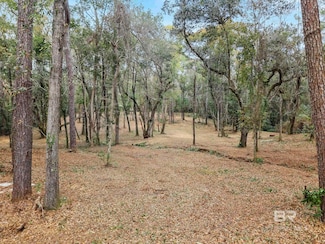 00 Park Dr, Daphne, AL 36526