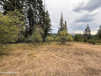 1083 Davis Creek Rd, Santa, ID 83861