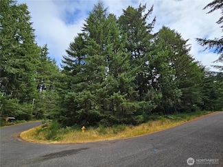 9325 123rd Ave, Anderson Island, WA 98303