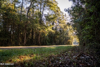 0 Sandflat Rd, Meridian, MS 39301