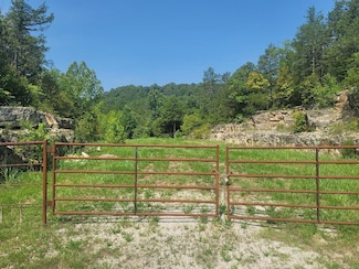 502 Shephard of the Hills, Branson, MO 65616