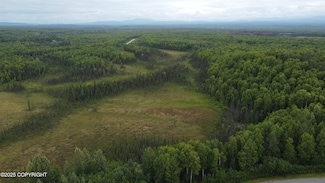 Tr A E Mount Snowshoe Dr, Talkeetna, AK 99676