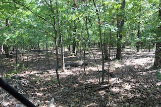 000 Lakeshore Rd Unit Lot 41, Protem, MO 65733