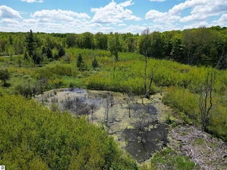 TBD 19 Mile Rd, Marion, MI 49688