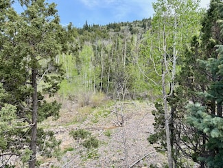 Lot 56-57 3200 Subdivision, Summit, UT 84772