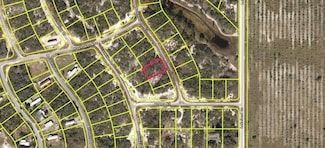 116 Summer Oak Dr, Lake Placid, FL 33852