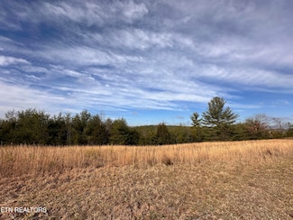 6.94ac White Creek, Deer Lodge, TN 37726