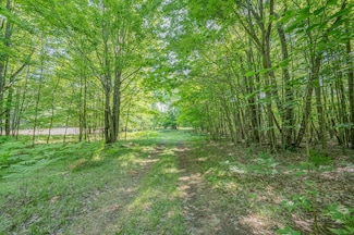 V/L 120th Ave, Hersey, MI 49639