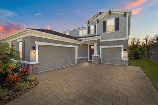 4777 Ballantrae Blvd, Land O Lakes, FL 34638