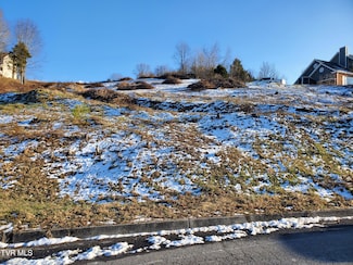 209 Briarfield Dr, Kingsport, TN 37660