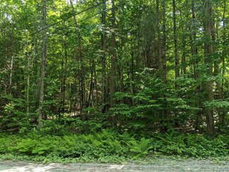 0 Hilltop & High Ridge Rd Unit 4795330, Newbury, NH 03255