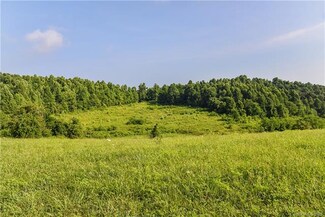 0 Henderson Blvd, Green River, NC 28790