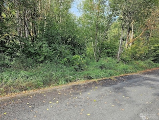 128 Valley View Dr, Mossyrock, WA 98564