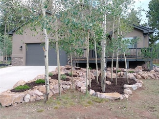 1165 Ptarmigan Dr, Woodland Park, CO 80863