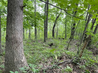 Lot 1029 Blue Ridge Dr, Woodland, WI 53941