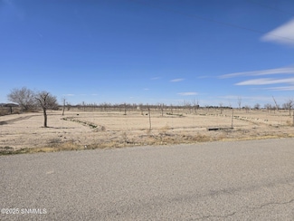 505 Palomino Rd, Vado, NM 88072