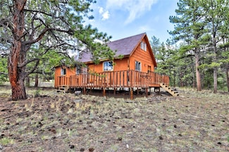490 Teller St, Lake George, CO 80827