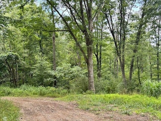 00 Ishman Rd, Pine Creek Township, PA 15825