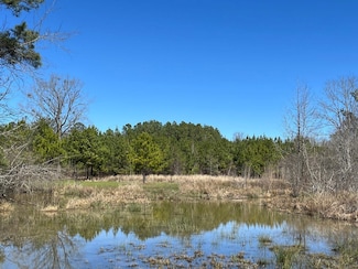 0 Greenleaf Rd, Moundville, AL 35474