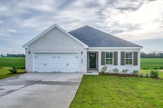 1029 Sandbed Rd, Newton, AL 36352