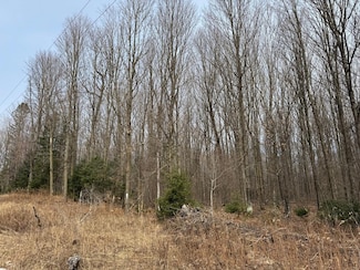 Parcel A Private Rd, Mercer, WI 54547