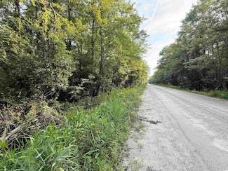 TBD Wolf Pit Bay Rd, Nichols, SC 29581