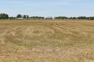 tract 6 Highway 55 E, Falkville, AL 35622
