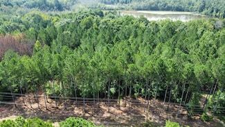 0 Blue Cr Rd Unit 21222703, Hogansville, GA 30230