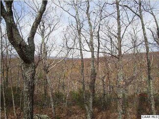 1 Fortunes Point, Wintergreen, VA 22958