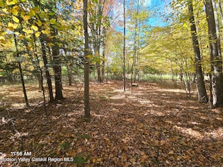 0 Circle Rd, Windham, NY 12496