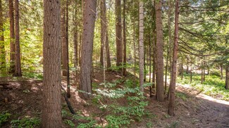 4329 Ottawa Dr, Dorrington, CA 95223