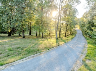 Lot 4 Myers Rd, Byhalia, MS 38611