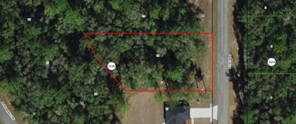 8844 N Lily Dr, Dunnellon, FL 34434